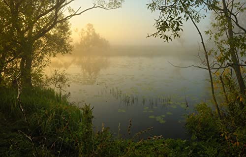 Puzzle für Junge Erwachsene, 1000 Teile, Naturschönheit, Nebel, 50 x 70 cm Puzzle für Junge Erwachsene, 1000 Teile, Naturschönheit, Nebel, 50 x 70 cm von EZMLFA
