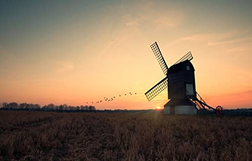 Puzzle für Jungen, 3D-Puzzle, 2000 Teile, Naturschönheit, Sonne, Sonnenuntergang, Kranich, 70 x 100 cm von EZMLFA
