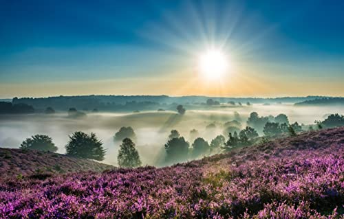 Puzzle für Kinder, 1000 Teile, Naturschönheit, Sonne, Nebel, Niederlande, Heidekraut, 50 x 70 cm von EZMLFA