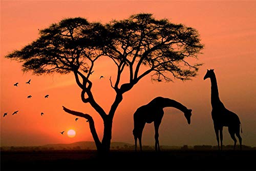 Puzzle für Kinder 1000 Teile Giraffe Baum Vögel Afrika Sonnenuntergang Landschaft Puzzle Spielzeug Kindergeschenke 38x26CM Puzzle für Kinder 1000 Teile Giraffe Baum Vögel Afrika Sonnenuntergang Landschaft Puzzle Spielzeug Kindergeschenke 38x26CM von EZMLFA