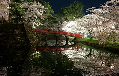 Puzzle für Kinder und Jungen, 1000 Teile, Naturschönheiten, Blumen, Brücken, Parks, Japan, Gärten, Teiche, 38 x 52 cm Puzzle für Kinder und Jungen, 1000 Teile, Naturschönheiten, Blumen, Brücken, Parks, Japan, Gärten, Teiche, 38 x 52 cm von EZMLFA