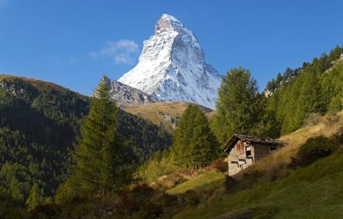 Puzzle mit 1000 Teilen, Lernpuzzle, Familienspiel, Geschenk für Erwachsene und Kinder, Bäume, Berge, Gipfel, Zermatt, Schweizer Alpen, 70 x 50 cm Puzzle mit 1000 Teilen, Lernpuzzle, Familienspiel, Geschenk für Erwachsene und Kinder, Bäume, Berge, Gipfel, Zermatt, Schweizer Alpen, 70 x 50 cm von EZMLFA