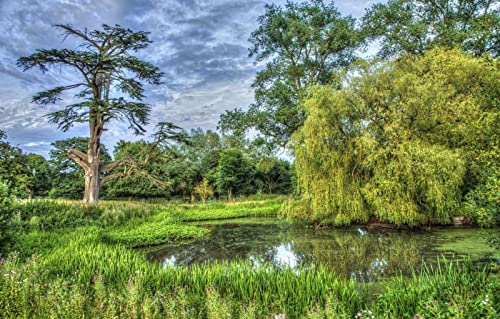 Puzzles für 1000 Teile, unmögliches Puzzle für Erwachsene, Lernspiele, Geschenke für Männer, Geschenke für Mädchen, Naturlandschaft, 38 x 52 cm Puzzles für 1000 Teile, unmögliches Puzzle für Erwachsene, Lernspiele, Geschenke für Männer, Geschenke für Mädchen, Naturlandschaft, 38 x 52 cm von EZMLFA