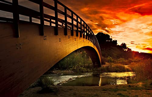 Puzzles für 1000 Teile, unmögliches Puzzle für Erwachsene, Lernspiele, Geschenke für Männer, Naturlandschaft, Sonnenuntergang, Brücke, Fluss, 26 x 38 cm Puzzles für 1000 Teile, unmögliches Puzzle für Erwachsene, Lernspiele, Geschenke für Männer, Naturlandschaft, Sonnenuntergang, Brücke, Fluss, 26 x 38 cm von EZMLFA