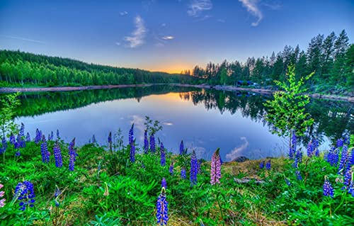 Puzzles für 1000 Teile, unmögliches Puzzle für Erwachsene, Lernspiele, Geschenke für Männer, Naturlandschaft, Sonnenuntergang, See, 38 x 52 cm Puzzles für 1000 Teile, unmögliches Puzzle für Erwachsene, Lernspiele, Geschenke für Männer, Naturlandschaft, Sonnenuntergang, See, 38 x 52 cm von EZMLFA
