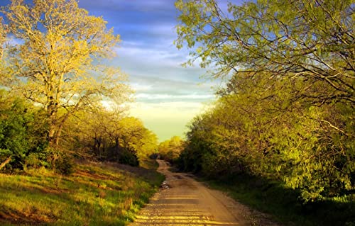 Puzzles für 1000 Teile, unmögliches Puzzle für Erwachsene, Lernspiele, Geschenke für Männer, Naturlandschaft, Straße, 38 x 52 cm Puzzles für 1000 Teile, unmögliches Puzzle für Erwachsene, Lernspiele, Geschenke für Männer, Naturlandschaft, Straße, 38 x 52 cm von EZMLFA