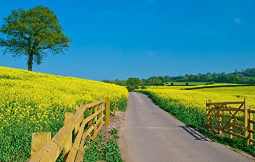 Puzzles für 1000 Teile, unmögliches Puzzle für Erwachsene, Lernspiele, Geschenke für Männer, Naturlandschaft, Straße, 50 x 70 cm von EZMLFA