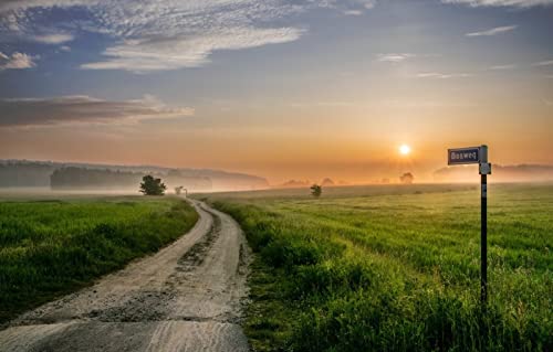 Puzzles für 1000 Teile, unmögliches Puzzle für Erwachsene, Lernspiele, Geschenke für Männer und Erwachsene, Gemälde für Kinder, Naturlandschaft, Straße, Sonnenuntergang, 26 x 38 cm Puzzles für 1000 Teile, unmögliches Puzzle für Erwachsene, Lernspiele, Geschenke für Männer und Erwachsene, Gemälde für Kinder, Naturlandschaft, Straße, Sonnenuntergang, 26 x 38 cm von EZMLFA