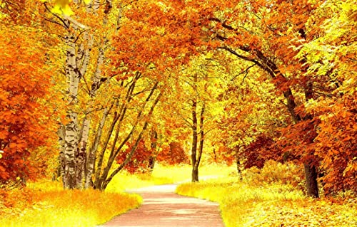 Puzzles für 1000 Teile, unmögliches Puzzle für Erwachsene, Lernspiele, Naturlandschaft, Straße, 26 x 38 cm Puzzles für 1000 Teile, unmögliches Puzzle für Erwachsene, Lernspiele, Naturlandschaft, Straße, 26 x 38 cm von EZMLFA