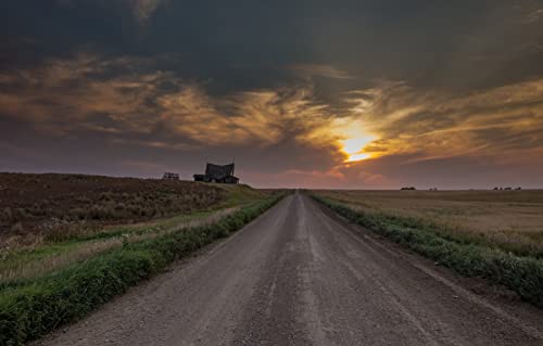 Puzzles für 2000 Teile, unmögliches Puzzle für Erwachsene, Lernspiele, Geschenke für Männer, Naturlandschaft, Straße, Feld, Sonnenuntergang, 70 x 100 cm Puzzles für 2000 Teile, unmögliches Puzzle für Erwachsene, Lernspiele, Geschenke für Männer, Naturlandschaft, Straße, Feld, Sonnenuntergang, 70 x 100 cm von EZMLFA