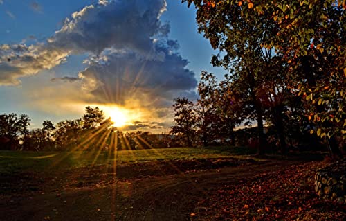 Puzzles für 2000 Teile, unmögliches Puzzle für Erwachsene, Lernspiele, Geschenke für Männer, Naturlandschaft, Straße, Sonnenuntergang, 70 x 100 cm Puzzles für 2000 Teile, unmögliches Puzzle für Erwachsene, Lernspiele, Geschenke für Männer, Naturlandschaft, Straße, Sonnenuntergang, 70 x 100 cm von EZMLFA