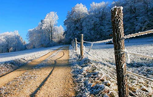 Puzzles für 2000 Teile, unmögliches Puzzle für Erwachsene, Lernspiele, Geschenke für Männer, Naturlandschaft, Straße, Wald, 70 x 100 cm Puzzles für 2000 Teile, unmögliches Puzzle für Erwachsene, Lernspiele, Geschenke für Männer, Naturlandschaft, Straße, Wald, 70 x 100 cm von EZMLFA