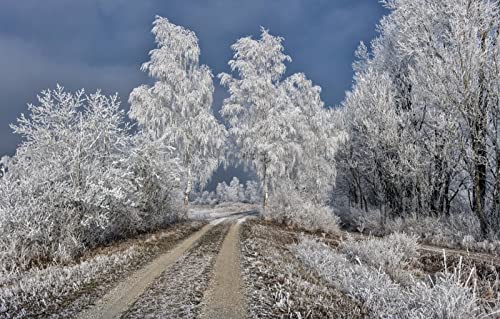 Puzzles für 2000 Teile, unmögliches Puzzle für Erwachsene, Lernspiele, Naturlandschaft, Frost, Straße, 70 x 100 cm Puzzles für 2000 Teile, unmögliches Puzzle für Erwachsene, Lernspiele, Naturlandschaft, Frost, Straße, 70 x 100 cm von EZMLFA