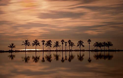 Puzzles für 2000 Teile, unmögliches Puzzle für Erwachsene, Lernspiele, Naturlandschaft, Sonnenuntergang, Ozean, Miami, Florida, Atlantik, 70 x 100 cm von EZMLFA