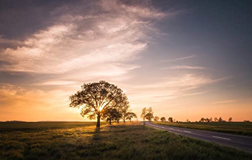 Puzzles für 2000 Teile, unmögliches Puzzle für Erwachsene, Lernspiele, Naturlandschaft, Straße, Feld, Sonnenuntergang, 70 x 100 cm von EZMLFA