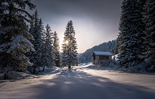 Puzzles für 2000 Teile, unmögliches Puzzle für Erwachsene, Lernspiele, Naturlandschaft, Wald, Morgen, 70 x 100 cm Puzzles für 2000 Teile, unmögliches Puzzle für Erwachsene, Lernspiele, Naturlandschaft, Wald, Morgen, 70 x 100 cm von EZMLFA