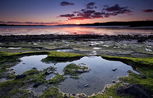 Puzzles für Erwachsene, 1000 Teile, Lernspiele, Heimdekoration, Geschenke für Männer, Geschenke für Männer und Kinder, Naturlandschaft, Sonnenuntergang, See, 50 x 70 cm Puzzles für Erwachsene, 1000 Teile, Lernspiele, Heimdekoration, Geschenke für Männer, Geschenke für Männer und Kinder, Naturlandschaft, Sonnenuntergang, See, 50 x 70 cm von EZMLFA