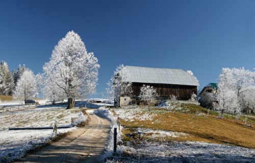 Puzzles für Erwachsene, 1000 Teile, Lernspiele, Heimdekoration, Geschenke für Männer, Kunstmalerei, Naturlandschaft, Straße, Schneeszene, 50 x 70 cm von EZMLFA