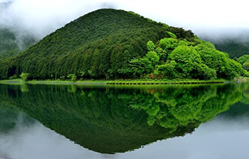 Puzzles für Erwachsene, 1000 Teile, Lernspiele, Heimdekoration, Geschenke für Männer, Naturlandschaft, Japan, Berge, Fujinomiya, Tanuki-See, 38 x 52 cm Puzzles für Erwachsene, 1000 Teile, Lernspiele, Heimdekoration, Geschenke für Männer, Naturlandschaft, Japan, Berge, Fujinomiya, Tanuki-See, 38 x 52 cm von EZMLFA