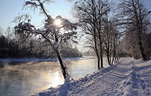 Puzzles für Erwachsene, 1000 Teile, Lernspiele, Heimdekoration, Geschenke für Männer, Naturlandschaft, Straße, Fluss, 50 x 70 cm Puzzles für Erwachsene, 1000 Teile, Lernspiele, Heimdekoration, Geschenke für Männer, Naturlandschaft, Straße, Fluss, 50 x 70 cm von EZMLFA