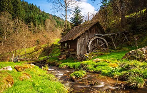 Puzzles für Erwachsene, 1000 Teile, Lernspiele, Heimdekoration, Geschenke für Männer, Naturlandschaft, Wald, Berg, Teich, 50 x 70 cm Puzzles für Erwachsene, 1000 Teile, Lernspiele, Heimdekoration, Geschenke für Männer, Naturlandschaft, Wald, Berg, Teich, 50 x 70 cm von EZMLFA