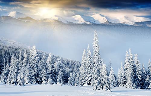 Puzzles für Erwachsene, 1000 Teile, Lernspiele, Heimdekoration, Geschenke für Männer, Naturlandschaft, Wald, Schneeverwehungen, Hügel, 50 x 70 cm Puzzles für Erwachsene, 1000 Teile, Lernspiele, Heimdekoration, Geschenke für Männer, Naturlandschaft, Wald, Schneeverwehungen, Hügel, 50 x 70 cm von EZMLFA