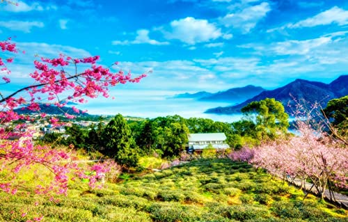 Puzzles für Erwachsene, 1000 Teile, Lernspiele, Heimdekoration, Geschenke für Männer, Naturlandschaft, Wolken, Berge, Kirschblüten, China, Taiwan, 26 x 38 cm Puzzles für Erwachsene, 1000 Teile, Lernspiele, Heimdekoration, Geschenke für Männer, Naturlandschaft, Wolken, Berge, Kirschblüten, China, Taiwan, 26 x 38 cm von EZMLFA