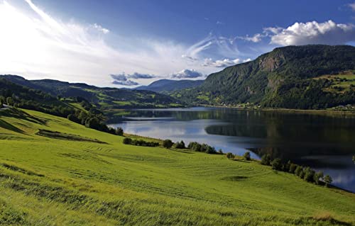 Puzzles für Erwachsene, 1000 Teile, Lernspiele, Naturlandschaft, Berge, Seen, Hügel, Felder, 50 x 70 cm Puzzles für Erwachsene, 1000 Teile, Lernspiele, Naturlandschaft, Berge, Seen, Hügel, Felder, 50 x 70 cm von EZMLFA