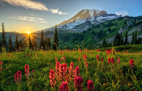Puzzles für Erwachsene, 1000 Teile, Lernspiele, Naturlandschaft, Felder, Wälder, Berge, Morgen, 50 x 70 cm Puzzles für Erwachsene, 1000 Teile, Lernspiele, Naturlandschaft, Felder, Wälder, Berge, Morgen, 50 x 70 cm von EZMLFA
