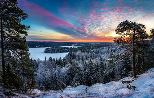 Puzzles für Erwachsene, 1000 Teile, Lernspiele, Naturlandschaft, Frost, Finnland, 50 x 70 cm Puzzles für Erwachsene, 1000 Teile, Lernspiele, Naturlandschaft, Frost, Finnland, 50 x 70 cm von EZMLFA