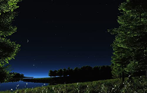 Puzzles für Erwachsene, 1000 Teile, Lernspiele, Naturlandschaft, Sterne, See, Teich, Mond, Kamille, Pflanzen, 50 x 70 cm Puzzles für Erwachsene, 1000 Teile, Lernspiele, Naturlandschaft, Sterne, See, Teich, Mond, Kamille, Pflanzen, 50 x 70 cm von EZMLFA