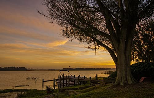 Puzzles für Erwachsene, 1000 Teile, anspruchsvolles Spiel für alle, für Frauen, Geschenke für Männer, Naturlandschaft, Sonnenuntergang, See, Pier, Kanada, 50 x 70 cm Puzzles für Erwachsene, 1000 Teile, anspruchsvolles Spiel für alle, für Frauen, Geschenke für Männer, Naturlandschaft, Sonnenuntergang, See, Pier, Kanada, 50 x 70 cm von EZMLFA