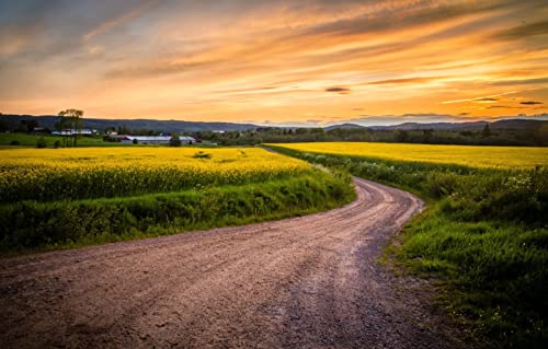 Puzzles für Erwachsene, 1000 Teile, anspruchsvolles Spiel für alle, für Frauen, Geschenke für Männer, Naturlandschaft, Straße, Feld, Sonnenuntergang, 50 x 70 cm Puzzles für Erwachsene, 1000 Teile, anspruchsvolles Spiel für alle, für Frauen, Geschenke für Männer, Naturlandschaft, Straße, Feld, Sonnenuntergang, 50 x 70 cm von EZMLFA