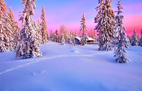 Puzzles für Erwachsene, 1000 Teile, anspruchsvolles Spiel für alle, für Frauen, Geschenke für Männer, Naturlandschaft, Wald, Sonnenuntergang, 50 x 70 cm Puzzles für Erwachsene, 1000 Teile, anspruchsvolles Spiel für alle, für Frauen, Geschenke für Männer, Naturlandschaft, Wald, Sonnenuntergang, 50 x 70 cm von EZMLFA