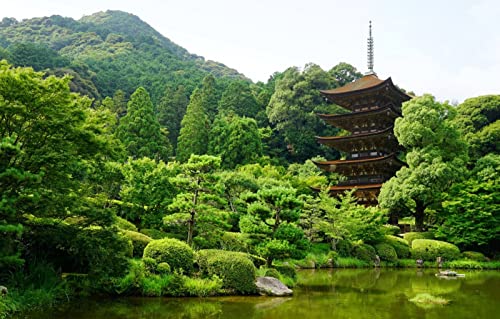 Puzzles für Erwachsene, 1000 Teile, anspruchsvolles Spiel für das Ganze, für Frauen, Geschenke für Männer, Naturlandschaft, Teich, Japan, Yamaguchi, 50 x 70 cm Puzzles für Erwachsene, 1000 Teile, anspruchsvolles Spiel für das Ganze, für Frauen, Geschenke für Männer, Naturlandschaft, Teich, Japan, Yamaguchi, 50 x 70 cm von EZMLFA