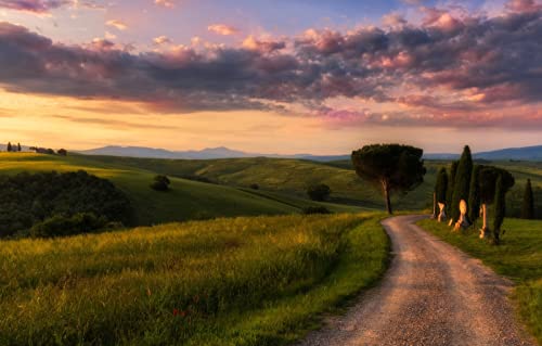 Puzzles für Erwachsene, 1000 Teile, anspruchsvolles Spiel für die ganze Familie, für Frauen, Geschenke für Männer, Naturlandschaft, Straße, Morgen, 50 x 70 cm von EZMLFA