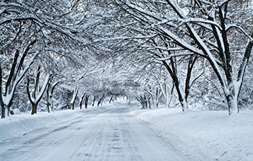 Puzzles für Erwachsene, 1000 Teile, anspruchsvolles Spiel für die ganze Familie, für Frauen, Geschenke für Männer, Naturlandschaft, Straße, Wald, Schnee, 50 x 70 cm Puzzles für Erwachsene, 1000 Teile, anspruchsvolles Spiel für die ganze Familie, für Frauen, Geschenke für Männer, Naturlandschaft, Straße, Wald, Schnee, 50 x 70 cm von EZMLFA