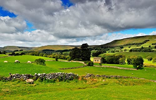 Puzzles für Erwachsene, 1000 Teile, anspruchsvolles Spiel für die ganze Familie, für Frauen, Geschenke für Männer, Naturlandschaft, Yorkshire Dales, Nordengland, 50 x 70 cm Puzzles für Erwachsene, 1000 Teile, anspruchsvolles Spiel für die ganze Familie, für Frauen, Geschenke für Männer, Naturlandschaft, Yorkshire Dales, Nordengland, 50 x 70 cm von EZMLFA