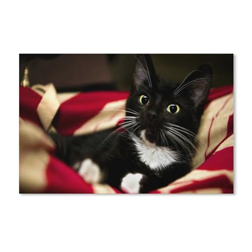 Puzzles für Erwachsene, 1000 Teile, für Erwachsene und Kinder, Katzen- und Kätzchen-Tierdecke, Kartonpuzzle, Kunstwerk, intellektuelles Lernspielzeug, Geschenke, 38 x 52 cm, 70 x 50 cm Puzzles für Erwachsene, 1000 Teile, für Erwachsene und Kinder, Katzen- und Kätzchen-Tierdecke, Kartonpuzzle, Kunstwerk, intellektuelles Lernspielzeug, Geschenke, 38 x 52 cm, 70 x 50 cm von EZMLFA