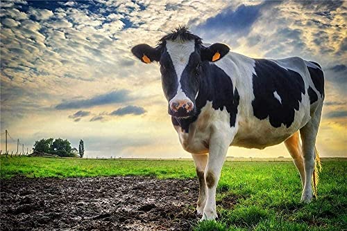 Puzzles für Erwachsene, 2000 Teile, Kuh auf dem Grasslandadult Puzzle, Lernspiel – Herausfordernde Familienpuzzles für Spaß 70x100CM von EZMLFA