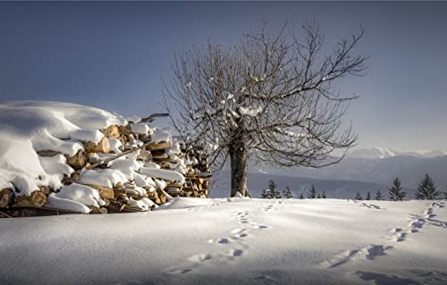 Puzzles für Erwachsene, 2000 Teile, Lernspiele, Heimdekoration, Geschenke für Männer, Naturlandschaft, 70 x 100 cm Puzzles für Erwachsene, 2000 Teile, Lernspiele, Heimdekoration, Geschenke für Männer, Naturlandschaft, 70 x 100 cm von EZMLFA