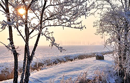 Puzzles für Erwachsene, 2000 Teile, Lernspiele, Heimdekoration, Geschenke für Männer, Naturlandschaft, Frost, Felder, 70 x 100 cm Puzzles für Erwachsene, 2000 Teile, Lernspiele, Heimdekoration, Geschenke für Männer, Naturlandschaft, Frost, Felder, 70 x 100 cm von EZMLFA