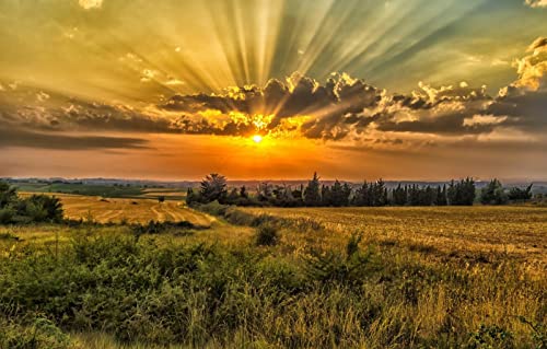Puzzles für Erwachsene, 2000 Teile, Lernspiele, Heimdekoration, Geschenke für Männer, Naturlandschaft, Sonnenuntergang, 70 x 100 cm Puzzles für Erwachsene, 2000 Teile, Lernspiele, Heimdekoration, Geschenke für Männer, Naturlandschaft, Sonnenuntergang, 70 x 100 cm von EZMLFA