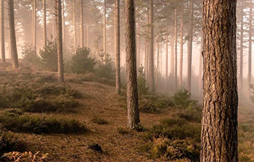 Puzzles für Erwachsene, 2000 Teile, Lernspiele, Heimdekoration, Geschenke für Männer, Naturlandschaft, Sträucher, 70 x 100 cm von EZMLFA