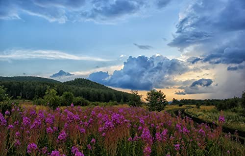 Puzzles für Erwachsene, 2000 Teile, Lernspiele, Heimdekoration, Geschenke für Männer, Naturlandschaft, Straßen, Felder, Wolken, Hügel, 70 x 100 cm von EZMLFA