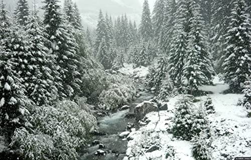 Puzzles für Erwachsene, 2000 Teile, Lernspiele, Heimdekoration, Geschenke für Männer, Naturlandschaft, Wald, 70 x 100 cm Puzzles für Erwachsene, 2000 Teile, Lernspiele, Heimdekoration, Geschenke für Männer, Naturlandschaft, Wald, 70 x 100 cm von EZMLFA