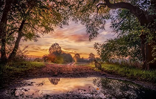 Puzzles für Erwachsene, 2000 Teile, Lernspiele, Heimdekoration, Geschenke für Männer, Straße, Sonnenuntergang, 70 x 100 cm Puzzles für Erwachsene, 2000 Teile, Lernspiele, Heimdekoration, Geschenke für Männer, Straße, Sonnenuntergang, 70 x 100 cm von EZMLFA