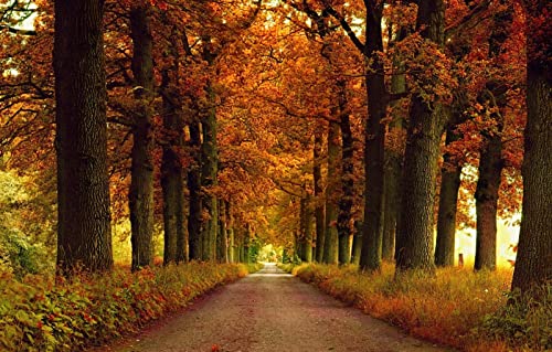 Puzzles für Erwachsene, 2000 Teile, Lernspiele, Heimdekoration, Naturlandschaft, Straße, 70 x 100 cm Puzzles für Erwachsene, 2000 Teile, Lernspiele, Heimdekoration, Naturlandschaft, Straße, 70 x 100 cm von EZMLFA