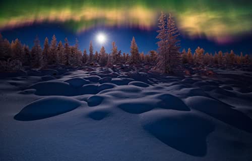 Puzzles für Erwachsene, 2000 Teile, Lernspiele, Nacht, Nordlichter, Schneeverwehungen, 70 x 100 cm Puzzles für Erwachsene, 2000 Teile, Lernspiele, Nacht, Nordlichter, Schneeverwehungen, 70 x 100 cm von EZMLFA