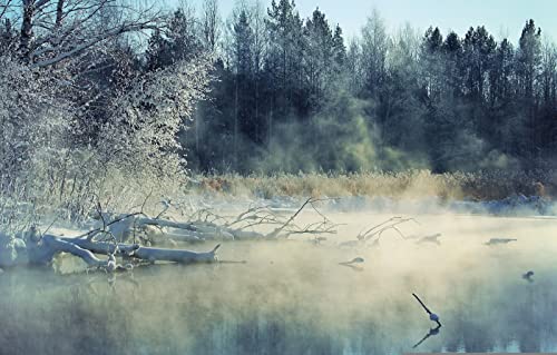Puzzles für Erwachsene, 2000 Teile, Lernspiele, Naturlandschaft, Fluss, 70 x 100 cm von EZMLFA